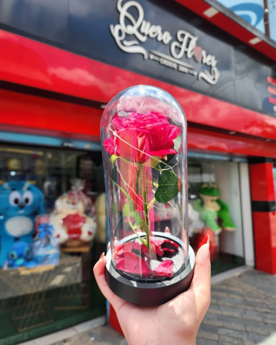Cúpula com Rosa Vermelha e LED